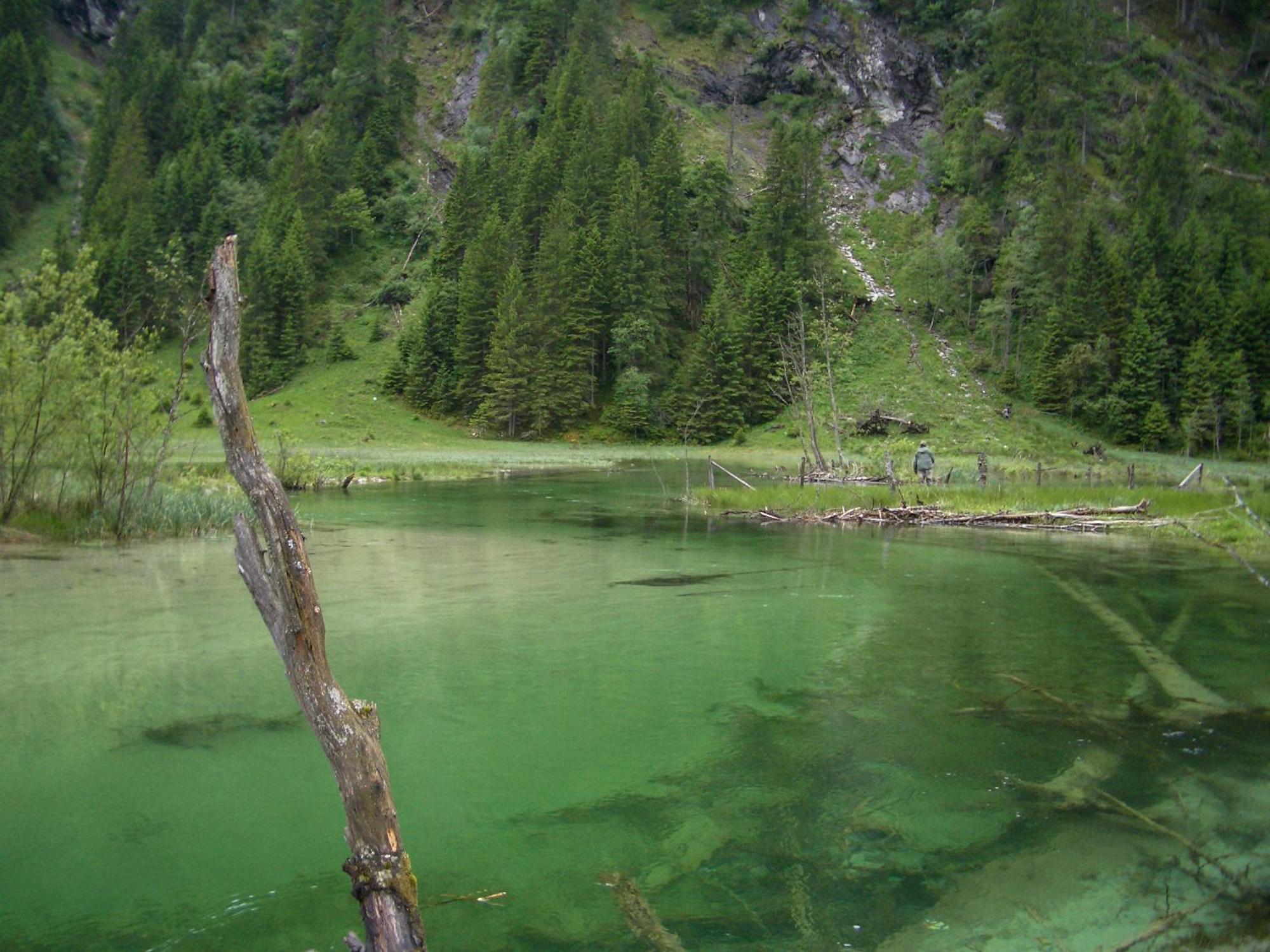 Landhotel Almroesl Im Grossarltal Hüttschlag エクステリア 写真